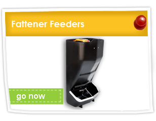 Fattener Feeders