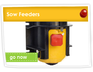 Sow Feeders