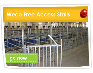Weco Free Access Stalls